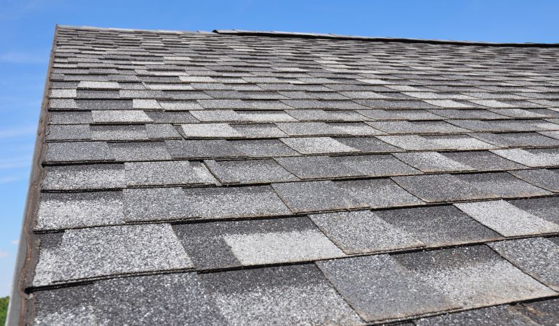 Asphalt Shingle Roof